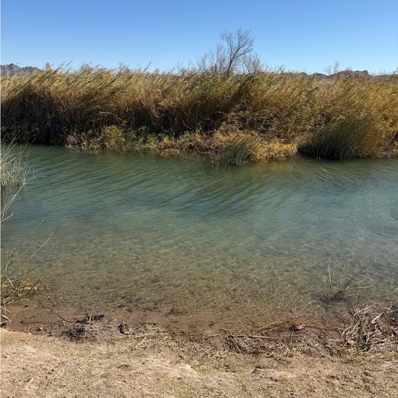 Meet your Posher, April - Picture 3 of 7